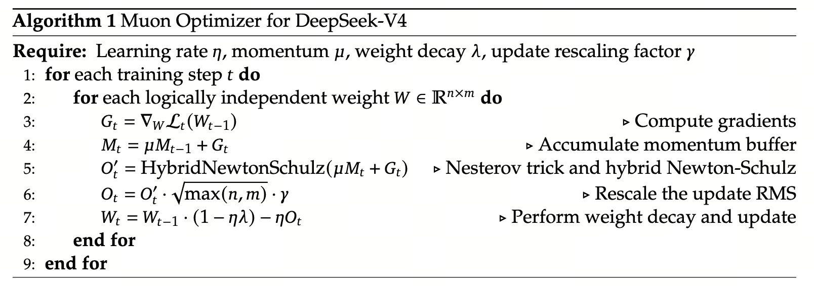 DeepSeek-V4 论文 Algorithm 1 · Muon Optimizer 原始伪代码